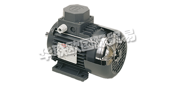 MOTORI BONORA成立于1945年，其業(yè)務(wù)逐步集中在異步電動機(jī)的生產(chǎn)上。  　　在這些年里，他們努力追隨市場的發(fā)展，加強他們制造商的使命，并高度重視產(chǎn)品和服務(wù)的質(zhì)量。