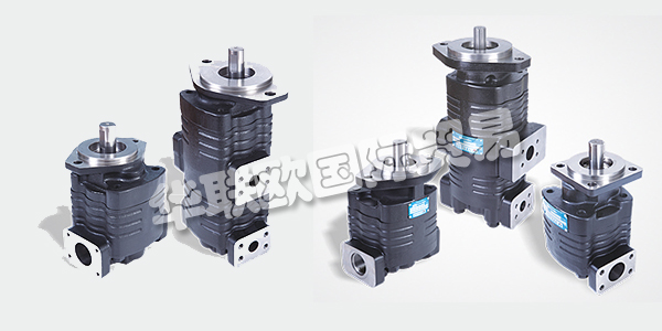 印度VELJAN主要產(chǎn)品：VELJAN齒輪泵、液壓閥等。VELJAN HYDRAIR LIMITED成立于1965年，是印度FLUID POWER公司的先驅(qū)，也是其獨立的領(lǐng)導(dǎo)者。