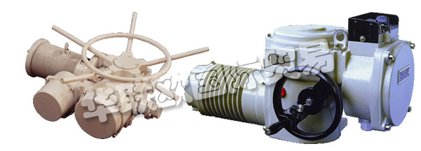 歐洲捷克ZPA-PECKY公司的產(chǎn)品主要有：ZPA PECKY執(zhí)行器、ZPA PECKY電機(jī)、伺服電機(jī)、單回轉(zhuǎn)執(zhí)行器、多回轉(zhuǎn)執(zhí)行器、杠桿伺服電機(jī)、線性伺服電機(jī)、伺服電機(jī)的配置器、ZPM變速箱、Mastergear變速箱、單轉(zhuǎn)伺服電機(jī)、多圈伺服電機(jī)、推力伺服電機(jī)。