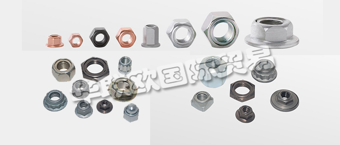 FLAIG+HOMMEL是世界知名的不銹鋼安全螺母制造商，幾十年來一直是國際汽車和鐵路行業(yè)的可靠合作伙伴。下文為您具體介紹FLAIG+HOMMEL安全螺母。